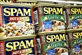 Canned Spam