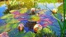 Colorful Lillypads in the Pond