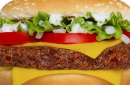 Hamburger Closeup