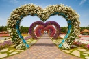 Hearts Way in Dubai Miracle Garden