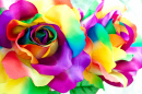 Handcrafted Rainbow Rose
