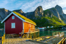 Lofoten Summer Landscape, Norway