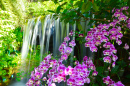 Waterfall with Flowers in the Garden